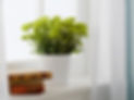 Vase with Flowers_edited.jpg