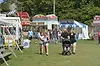 Ox Roast 2.webp