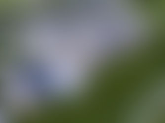 Parma Set for Groundbreaking on New Ridgewood Golf Course Clubhouse