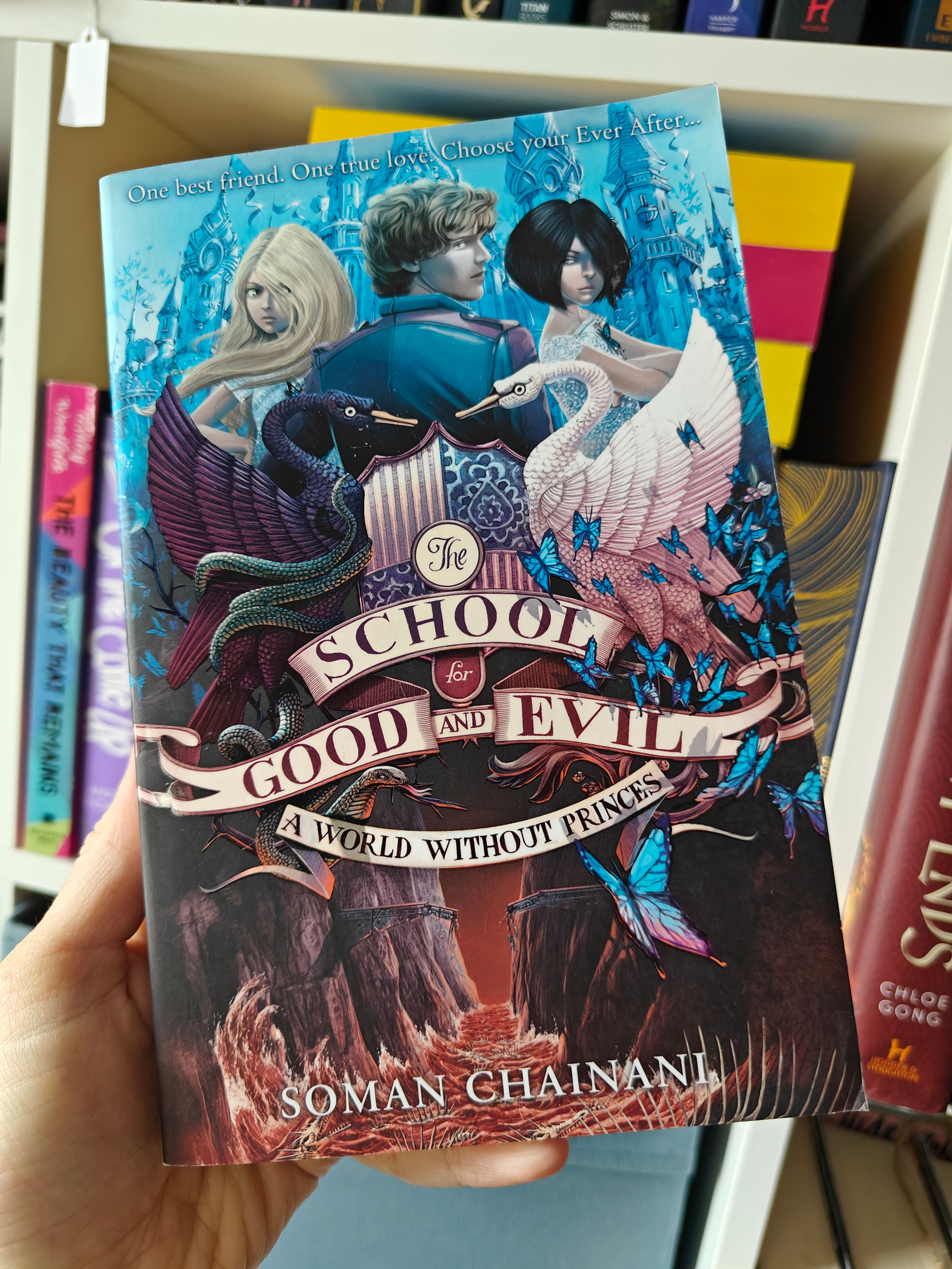 The School For Good and Evil: A World Without Princes by Soman Chainini