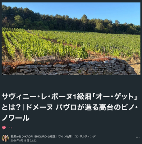 サヴィニー・レ・ボーヌ1級畑「オー・ゲット」とは？｜ドメーヌ パヴロが造る高台のピノ・ノワール