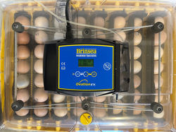 Incubator