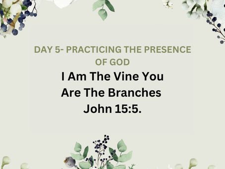 Devotional Bible Study: I Am The Vine You Are The Branches | John 15:5.