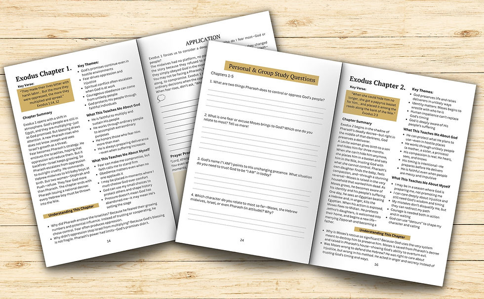 graphic showing what chapter 1 of Exodus looks like in the Exodus Bible study guide