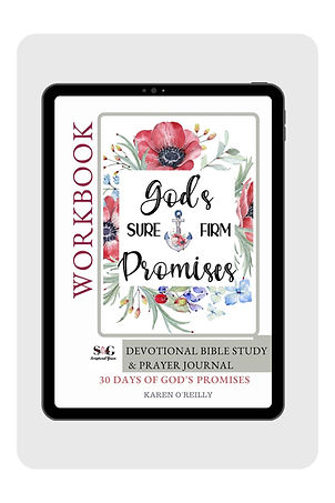 Promises of God Bible study.jpg