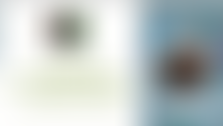 Sementes da revolta liberal: Luís Prates no Brasil, em Angola, em Macau e em Goa - L. C. DE OLIVEIRA