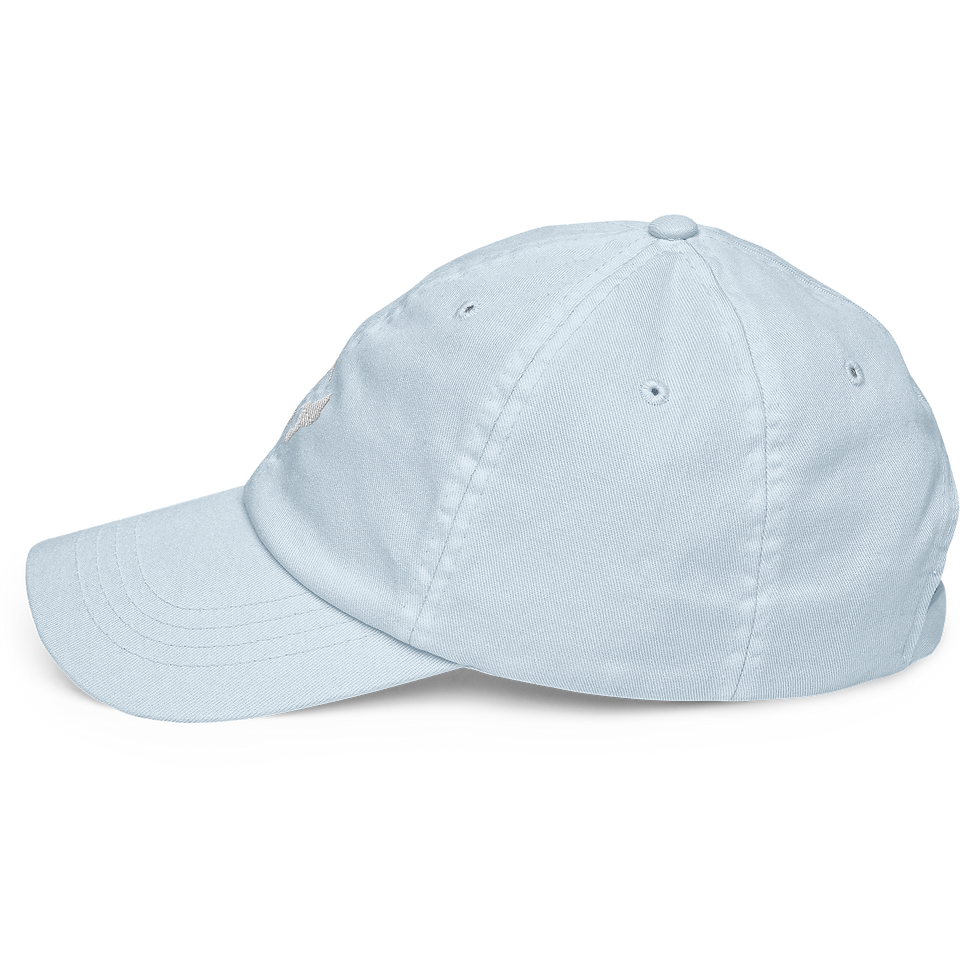 Thumbnail: Hummingbird baseball cap- pastel hat with white stiching