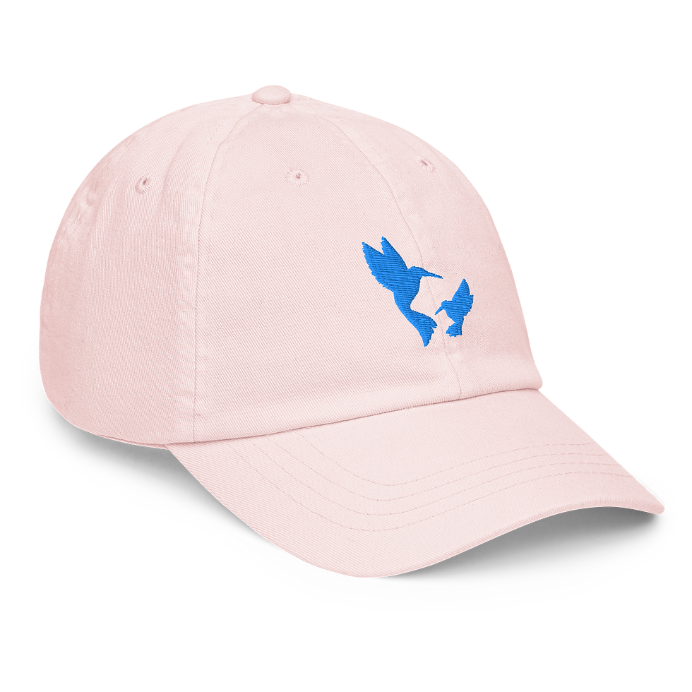 Miniaturbild: Mintfarbene Baseball Kappe Kolibri – Pastellfarbene Kappe mit Blauer bestickung 