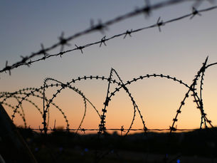 Barbed wire