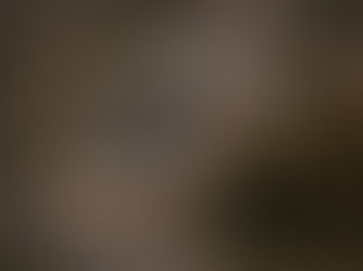 wood duck sitting on a log in the water