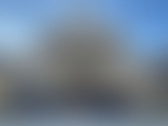 protest outside the MI capitol building