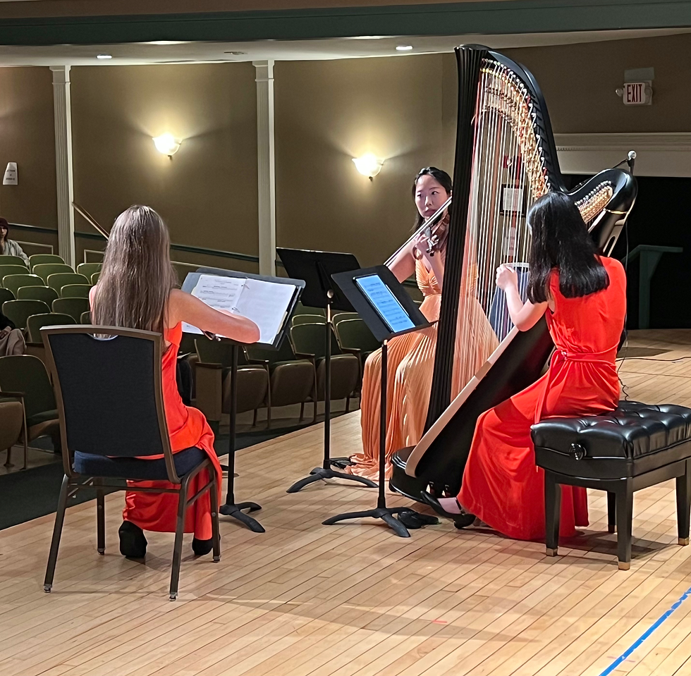 Participant Chamber Ensemble