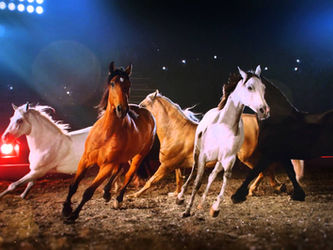 APASSIONATA is touring Europe using zactrack!