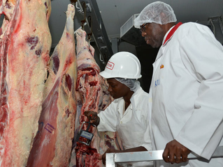 Capacity building is key to Africa's development