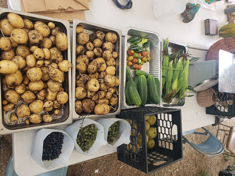 20230804_120940_edited