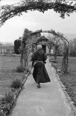 The Monk (personal project)