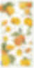 a-bunch-of-beautiful-slices-of-oranges-falling--lo (2).png