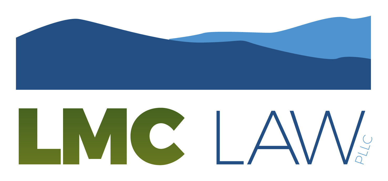 Meet Lisa LMC LAW PLLC