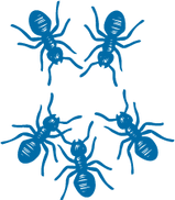 Formigas_edited_edited.png
