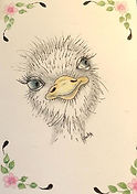 Ostrich.jpeg