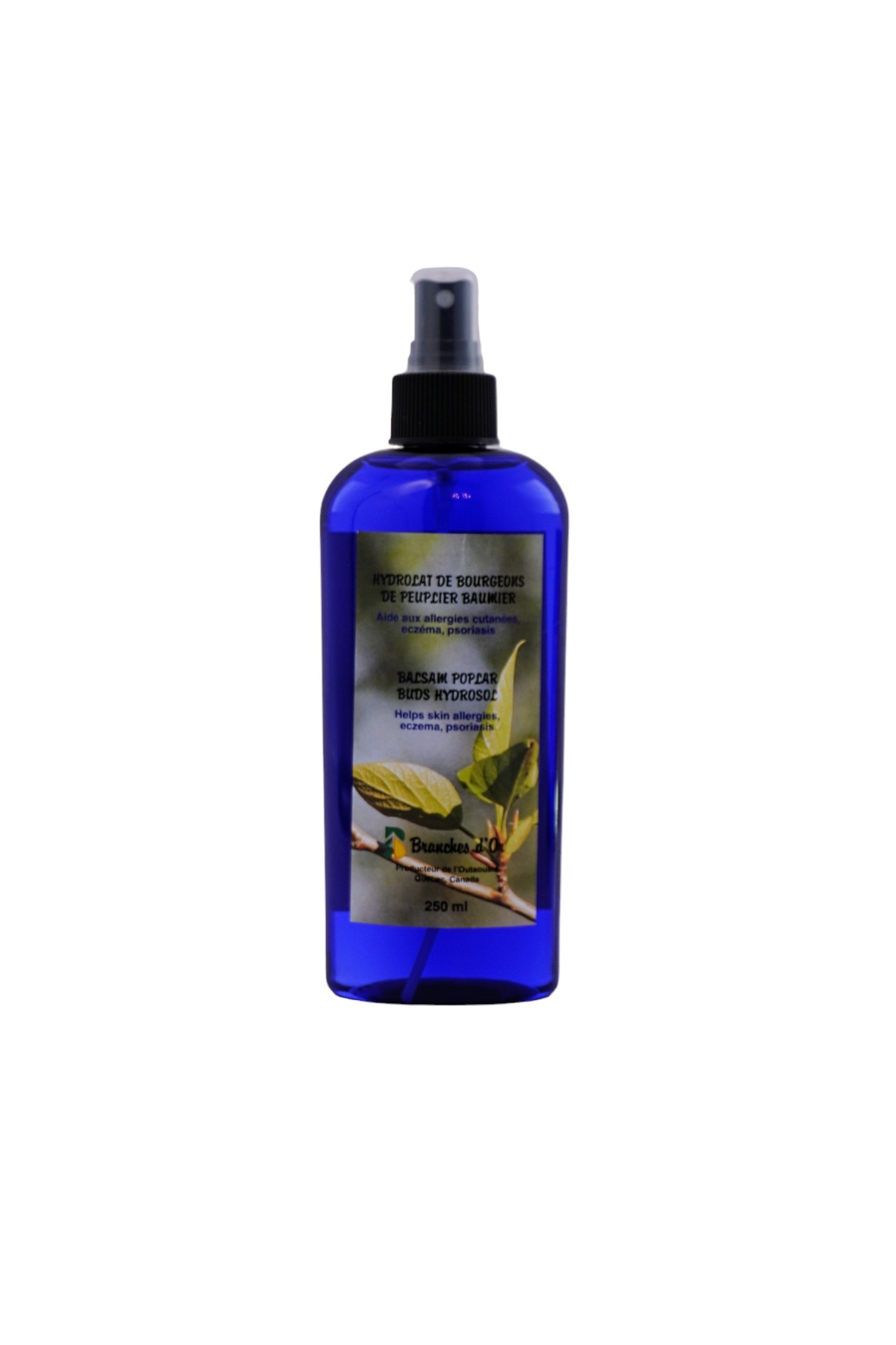 Hydrolat de bourgeons de peuplier baumier