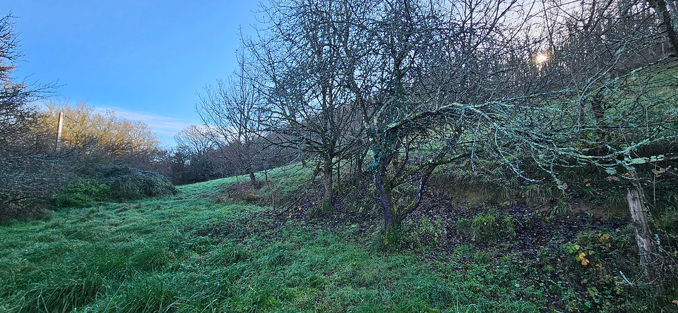 Miniature : Terrain de loisirs 2,2ha + petite grange - LARROQUE