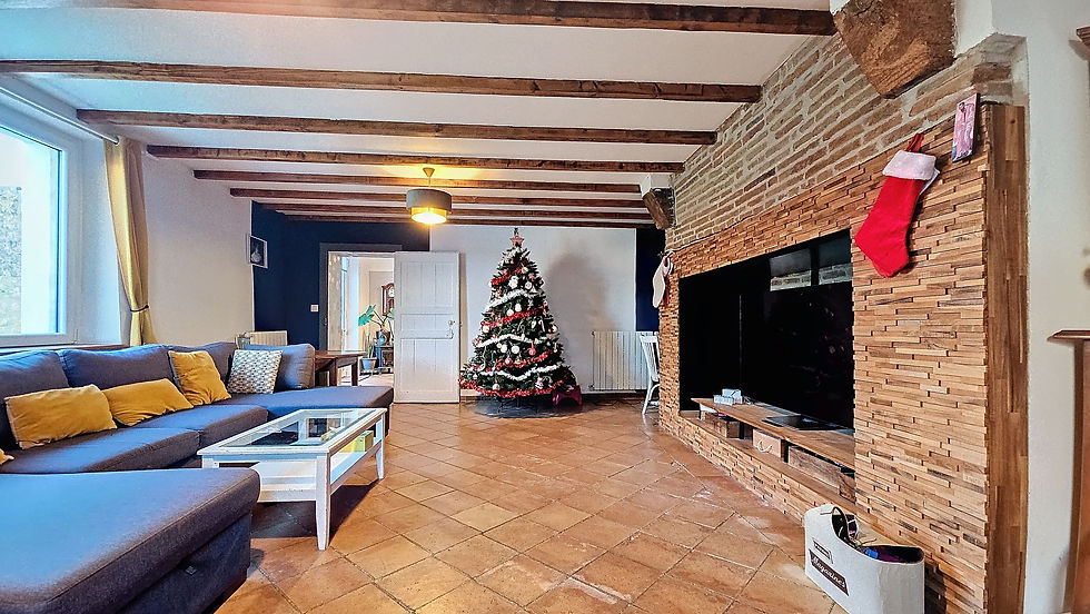Miniature : Ensemble de Deux Maisons de Caractère avec Piscine - MONTGAILLARD