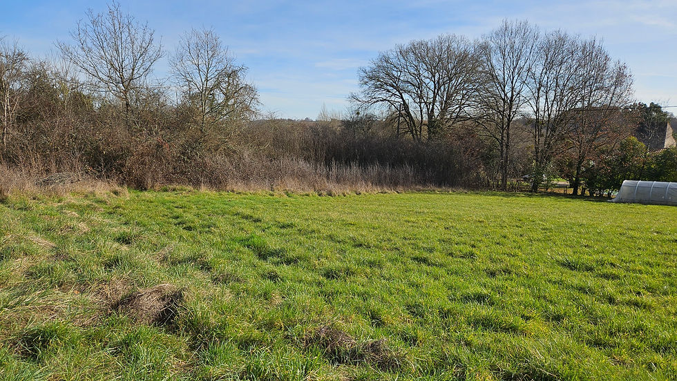 Miniature : Terrain à vendre à  de 795m² - LA SALVETAT BELMONTET
