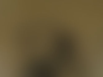 The Music Really Moved Us