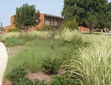 STA60657.JPG
