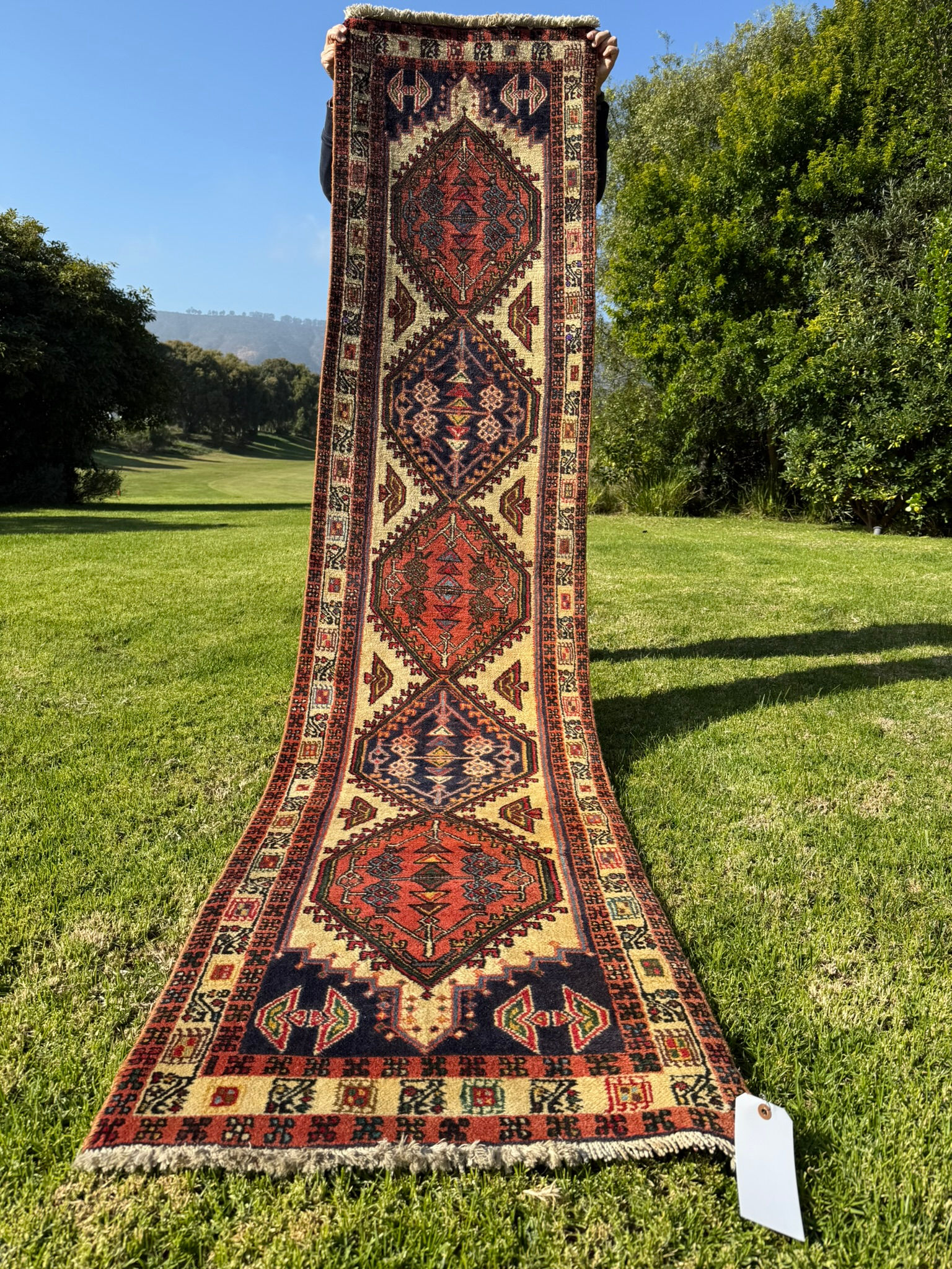 #SUPERHIPERSALE#Magnifica Alfombra Irani, única 0.65 x 2.90 cm