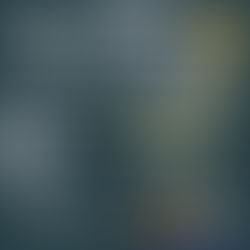 Puppy & Veteran näyttely 5.10.24