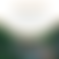 18.11. Ulkomuotoarviointi Haminassa