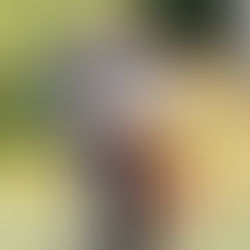 25.8.2024 ZTP- TESTI TULOKSET