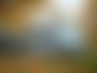 Benefits of Choosing Local Moving Experts