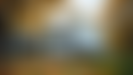 Benefits of Choosing Local Moving Experts