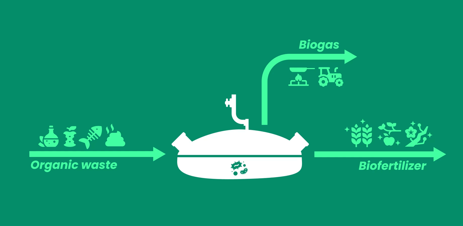 animacion-biod-ingles.gif