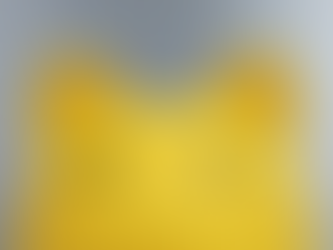 Who Pays Child Support when a Child is Adopted?