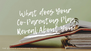 What Does Your Co-Parenting Plan Reveal About You?