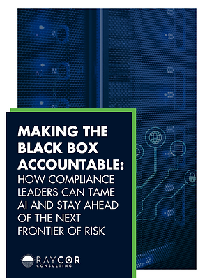 Making-the-black-box-accountable (1).png