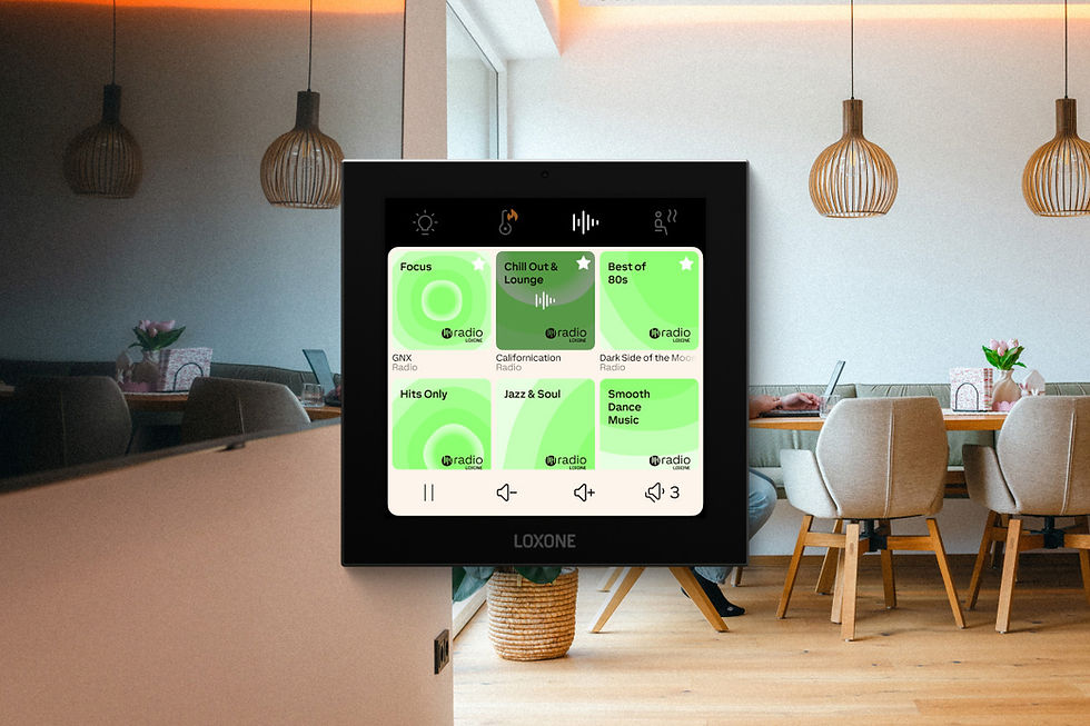 Miniaturbild: Touch Pure Display