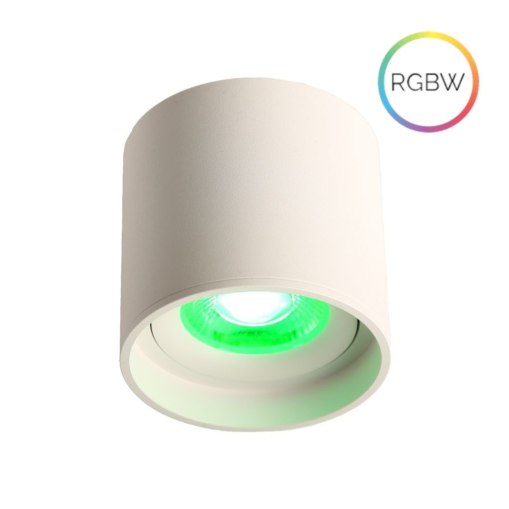 LED Ceiling Spot 24V RGBW PWM