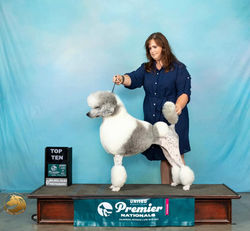 204193510_10160446070884179_4587405257462854766_n