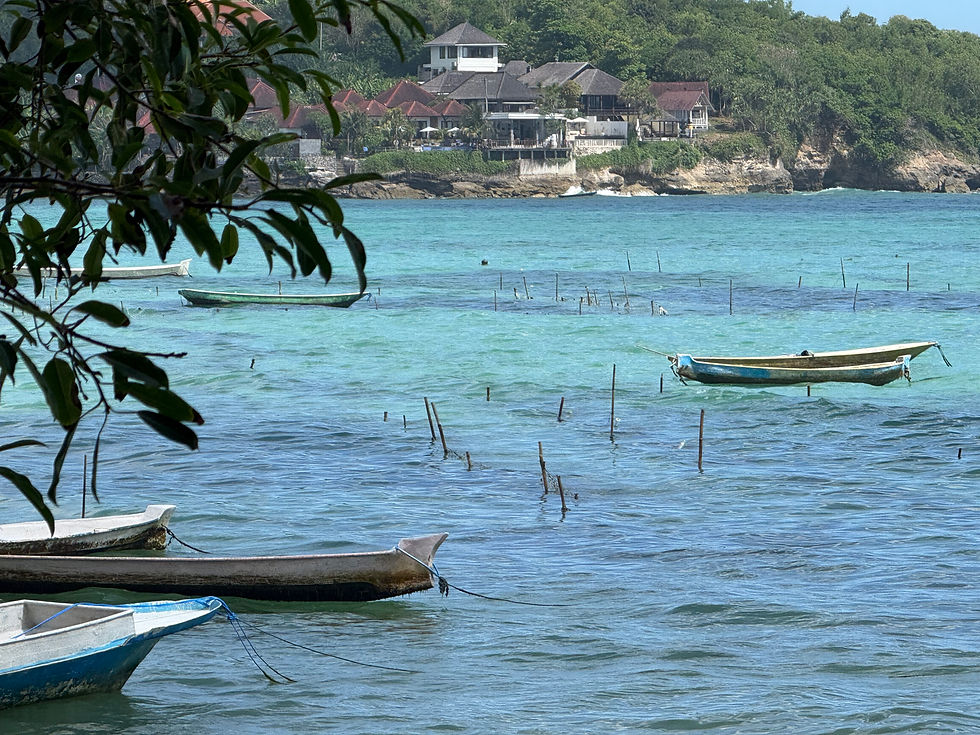 Seaweed farm on Nusa Lembongan