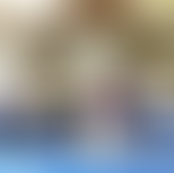 特定非営利活動法人いちご