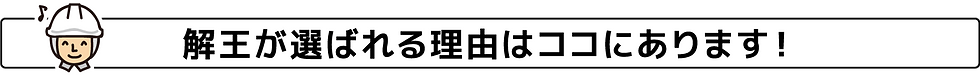 解王が選ばれる理由はココにあります!