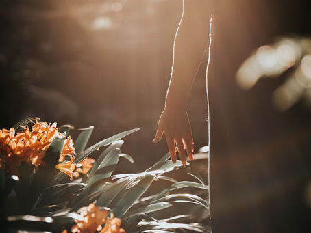 A hand gently passing by a green plant with orange flowers, with a backdrop of filtered sunlight.