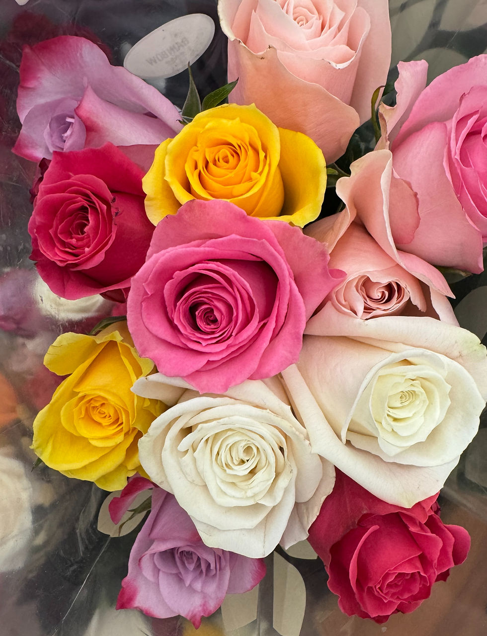 Mixed colored Roses