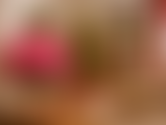 冬の室内を明るくするポインセチア:選び方から管理まで