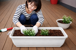 植物が元気に育つ！失敗しない培養土の選び方